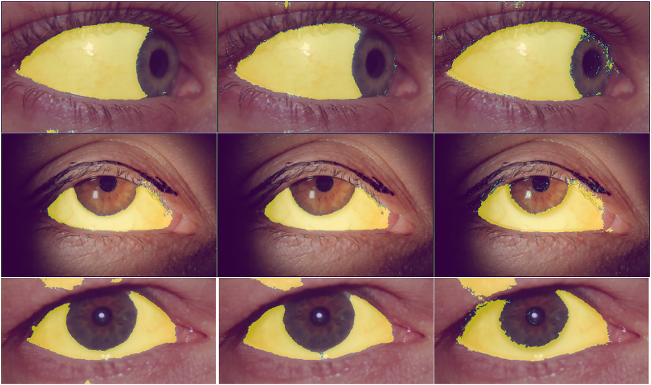 Figure 10:
Sclera pixels (yellow) predicted by the U-Net trained with data from citizen science (left), gamification (center), and paid microtask (right).