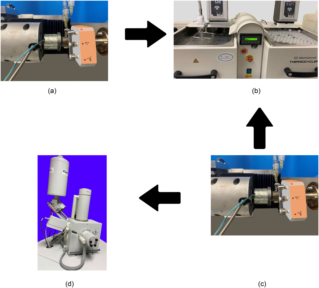 Figure 2: 
Experiment set-up. (a) Wear simulator with full set up, (b) thermocycling, (c) wear simulator after thermocycling, and (d) scanning electron microscope.
