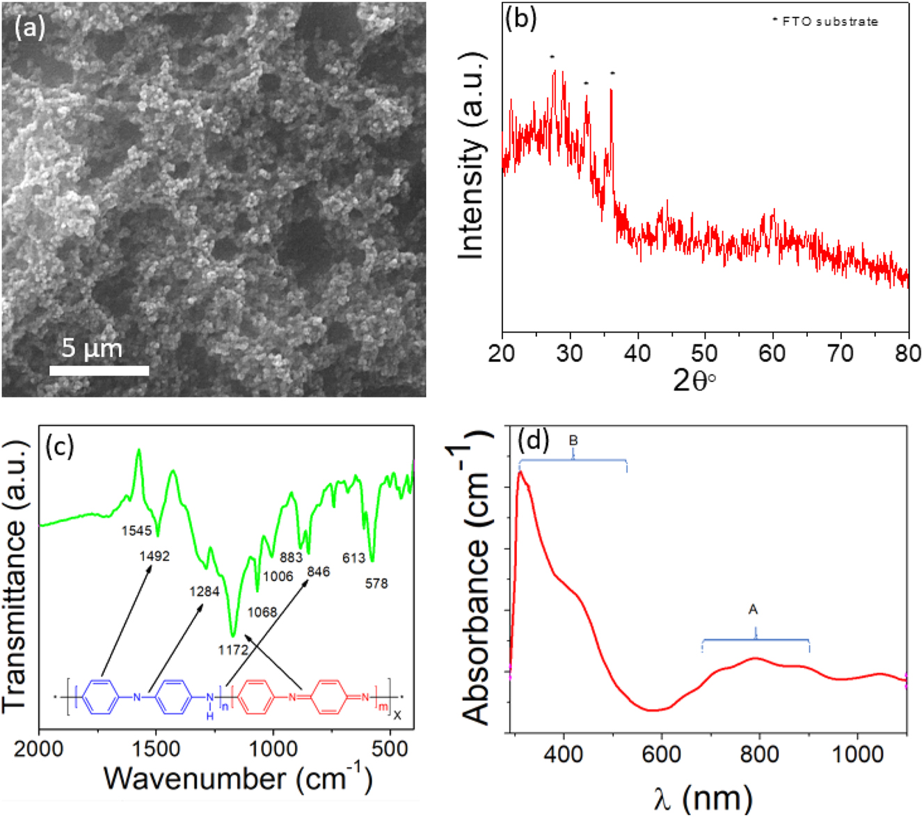 Figure 2:
The synthesized polyaniline was characterized by using different techniques, (a) Morphology of polyaniline film grown on glassy carbon electrode by electrochemical technique. (b) XRD spectra. (c) FTIR spectra. (d) Absorbance spectra of polyaniline.