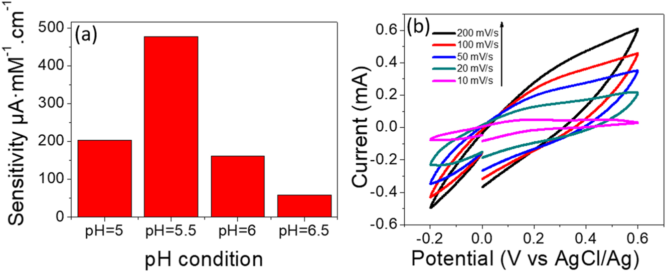 Figure 5:
The sensistivity of polyaniline biosensor, (a) the bar chart shows relation between the sensitivity of sensor vs. pH electrolyte. (b) CV curves of glucose detection at different scan rates under pH = 5.5 and PBS (0.1 M).