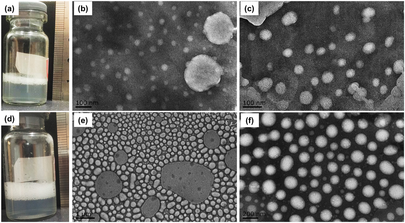 Figure 6: 
Appearance and TEM results of lipid bubbles obtained by SF6 MNBs water and MA method. Formulation of m (ePC): m (PEG4k)=1:1 was selected to investigated. (a) Is the appearance of lipid bubbles prepared by SF6 MNBs water and (b) and (c) are the TEM. (d) Is the appearance of lipid bubbles obtained by shaking method (20 s) and (e) and (f) are its TEM.
