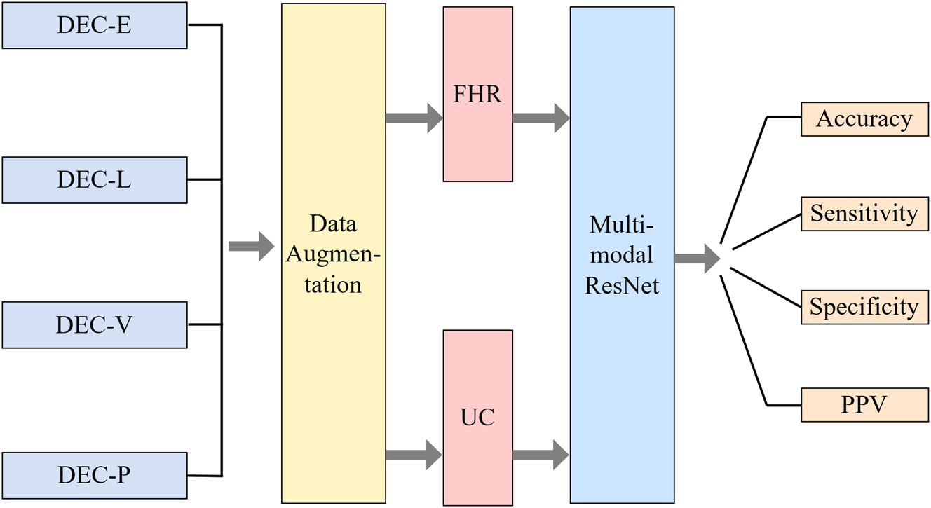 Figure 6: 
Dual-modal deep neural network architecture.
