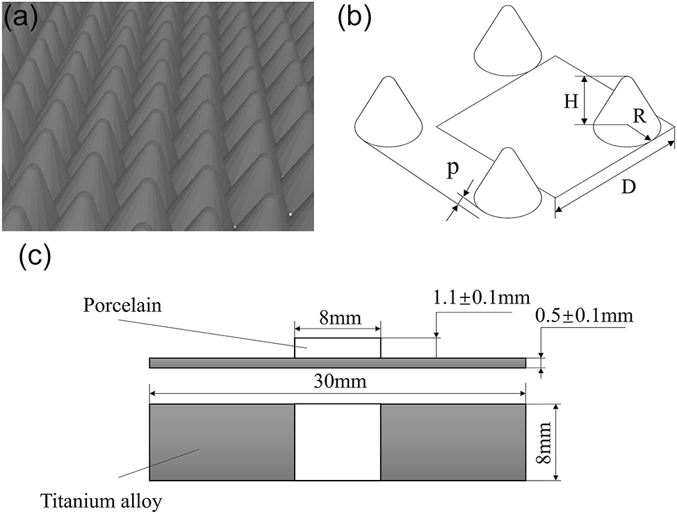 Figure 1:
Sample design. (a) Bionic model. (b) Microstructure size diagram. (c) Schematic diagram of the size of the substrate and porcelain.