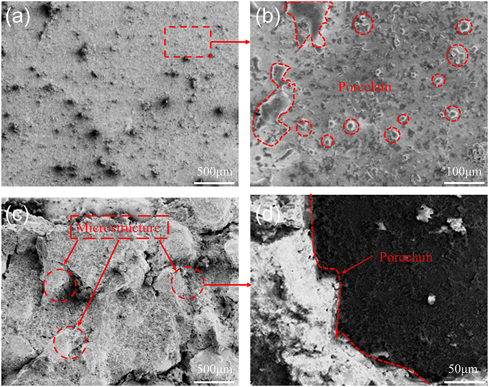 Figure 4:
SEM images of the failure surface of metal-ceramic. (a) Smooth surface. (b) Porcelain residue. (c) Optimal microstructure surface. (d) Local amplification at the microstructure.