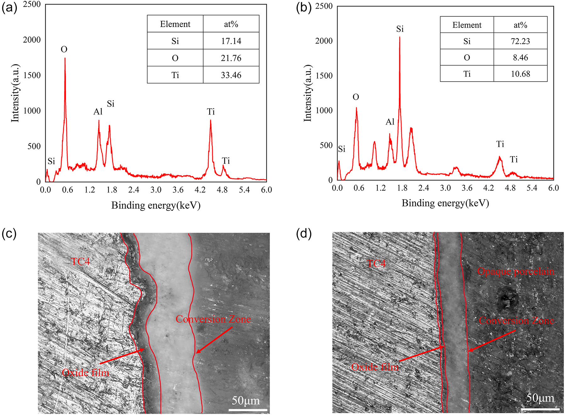 Figure 5:
EDS scanning results of separation surface (a) sandblasting surface and (b) optimal microstructure surface. SEM images of metal-ceramic bonding section (c) no microstructure group and (d) optimal microstructure group.