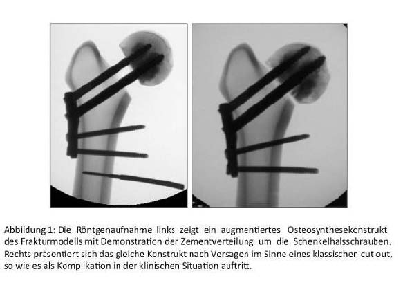 Abbildung 1