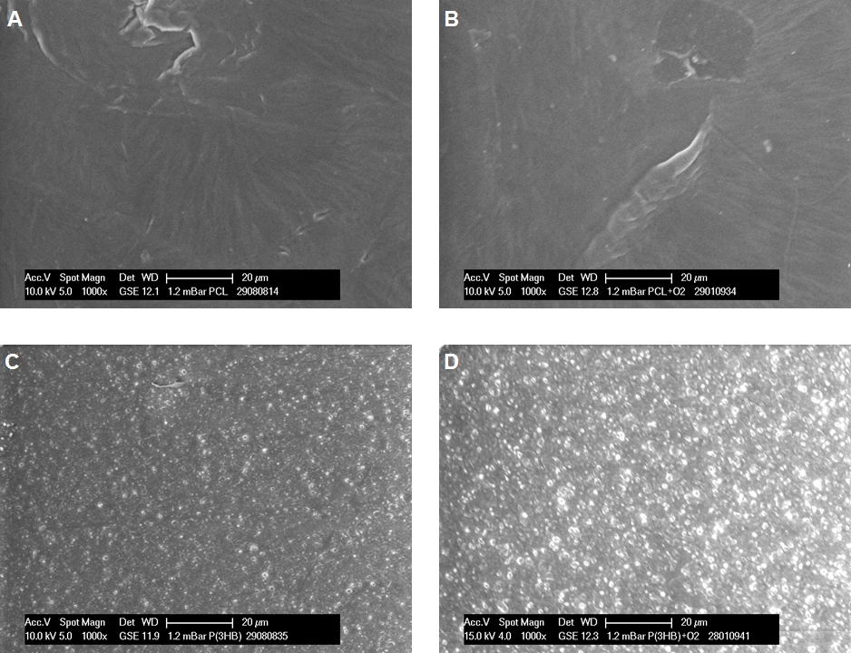 Figure 1: ESEM images of PCL and P(3HB) films at 1000× magnification. PCL surface before plasma-chemical activation (untreated) (A), after O2 plasma (B) and P(3HB) surface before plasma-chemical activation (untreated) (C), after O2 plasma (D).