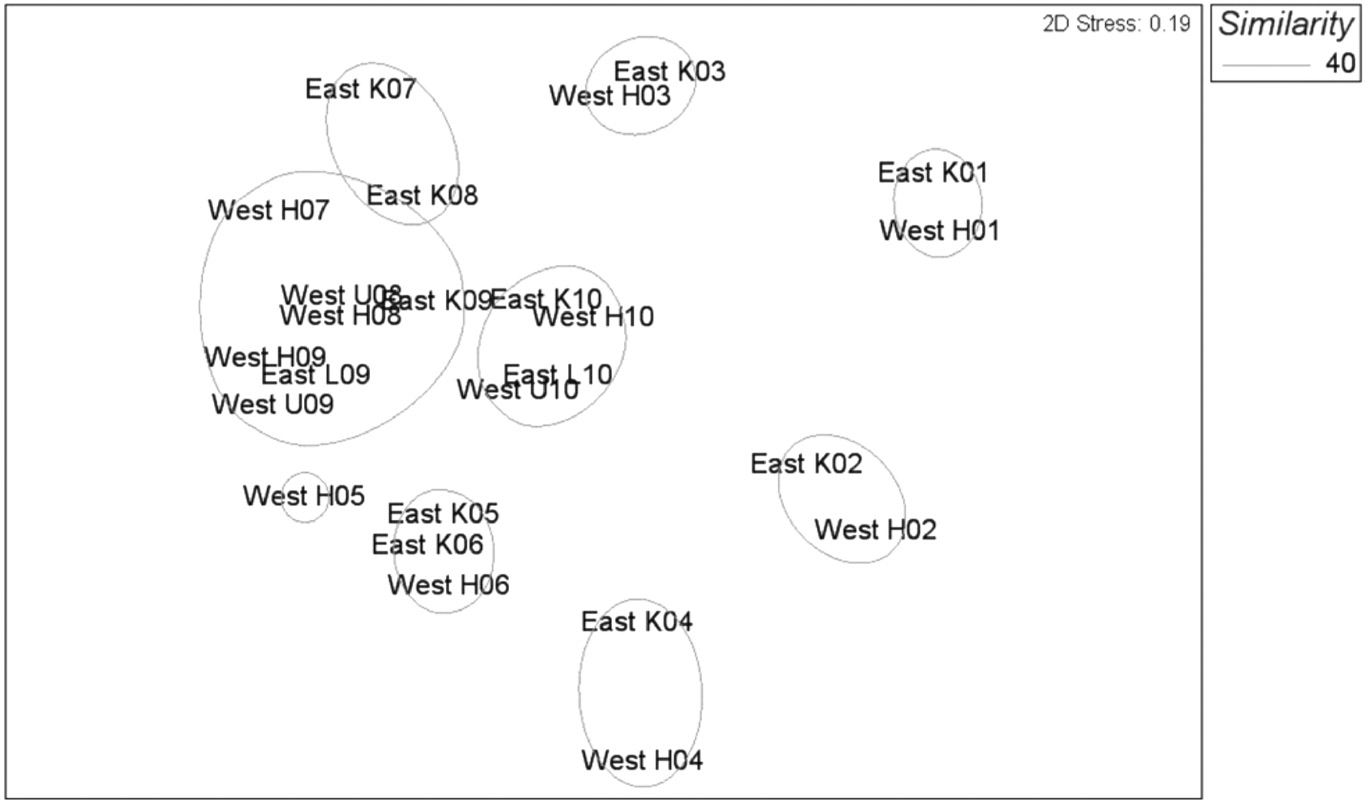 Figure 4: NMDS cluster visualization of the Bray-Curtis similarity index of all the reefs for all the sampling time periods. Similarity groups show differences in artificial reef fungal biofilm community T-RF patterns with time; fungal biofilm communities do vary among reef sites [Handkerchief (H), Katrina (K), Legacy (L), USM (U)] at each sampling period (01–10).