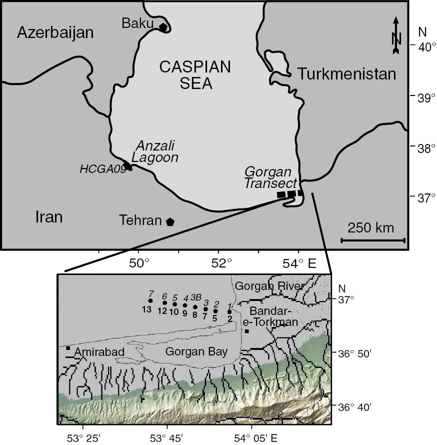 Figure 1: Location of grab samples in the Caspian Sea.In the Gorgan transect, the station numbers are in italics and the water depths (m) in bold.