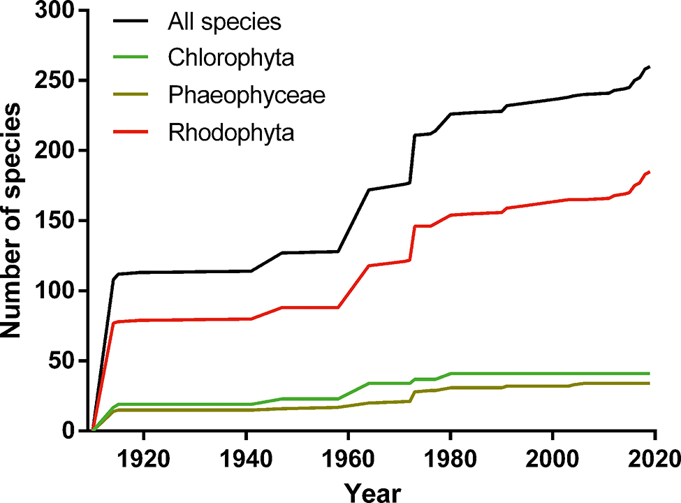 Figure 4: Cumulative curve of new seaweed species and new records (pooled) from Peru between 1914 and 2019.