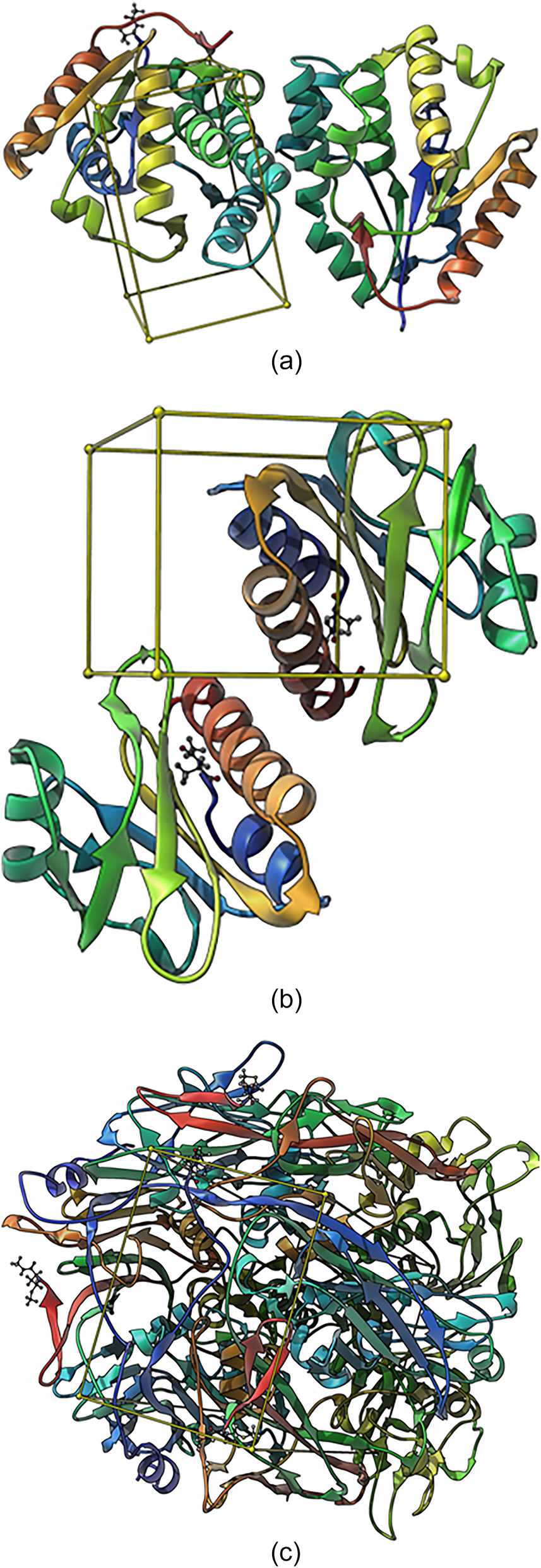 Figure 4: 
(A) Binding site (Box) of thymidylate kinase of the vaccinia virus; (B) binding site (Box) of A42R profilin-like protein from the monkeypox virus Zaire-96-I-16; (C) binding site (Box) of D13 protein of the vaccinia virus.
