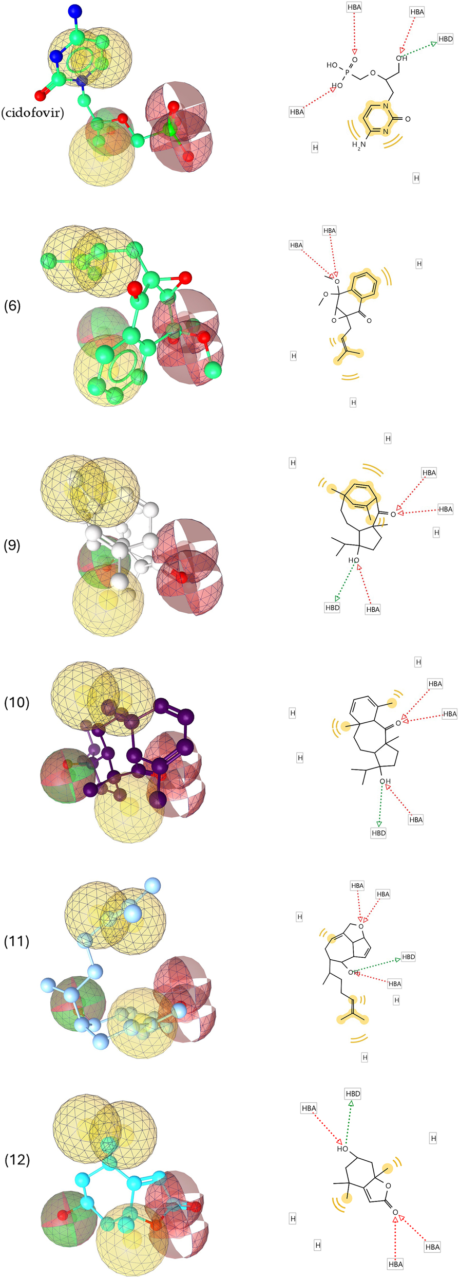 Figure 6: 
3D and 2D representations of pharmacophoric features of cidofovir, (6), (9), (10), (11) and (12), used in 3D pharmacophore generation. Red arrows and broken lines, hydrogen bond acceptors (HBA); green arrows and broken lines, hydrogen bond donors (HBD); yellow lines, hydrogen (H) bond interactions.

