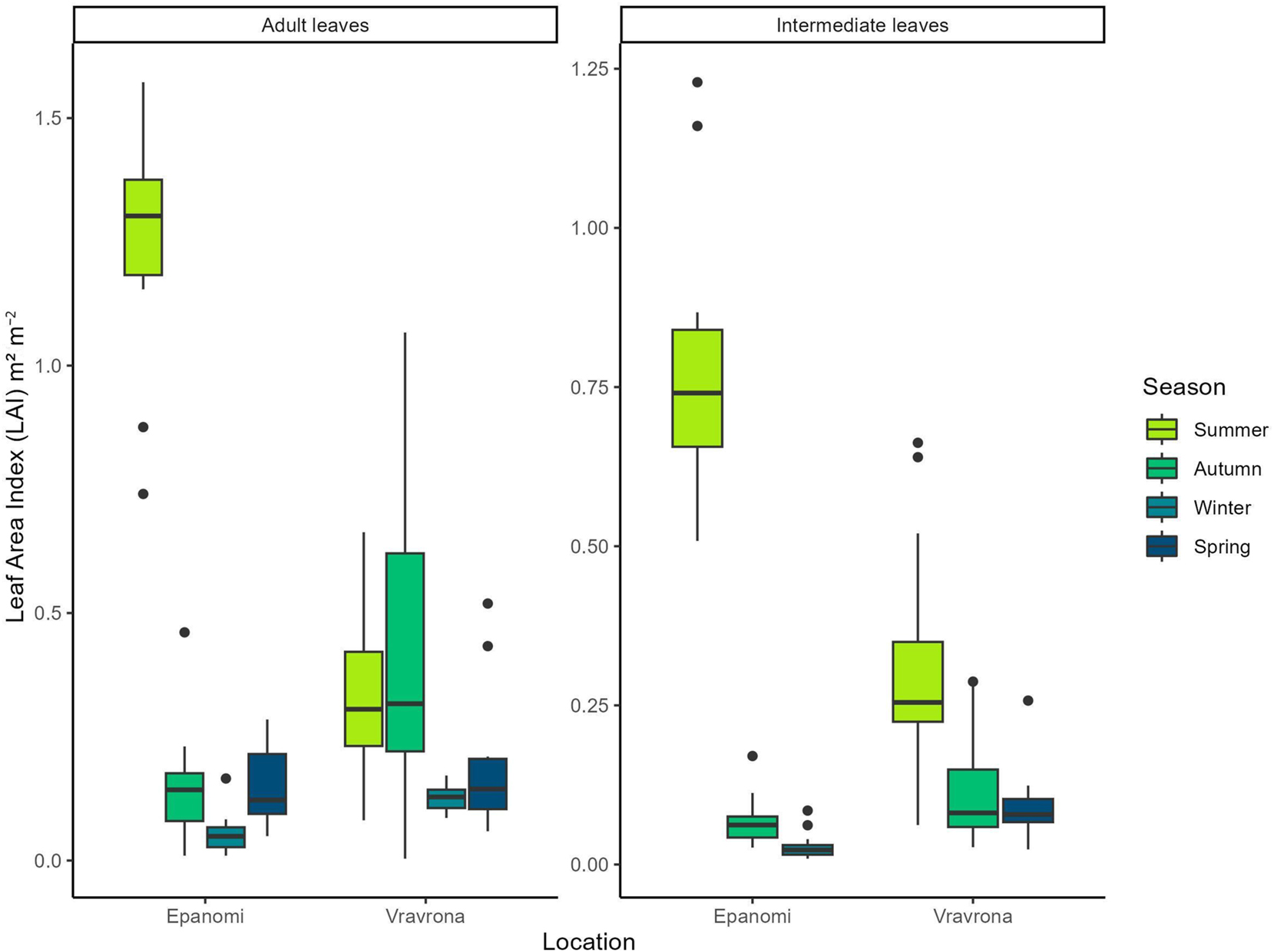 Figure 3: 
Seasonal variation of leaf area index (LAI) (m2 m−2) of Cymodocea nodosa leaves in the study areas during 2022–2023. The leaf area index of leaves was divided into (a) adult and (b) intermediate leaves. The measurements were conducted in 20 randomly selected plants from each site and season. Whiskers indicate the smallest and largest non-outlier values, while the box encompasses the interquartile range (IQR); black dots denote extreme observed values (outliers).
