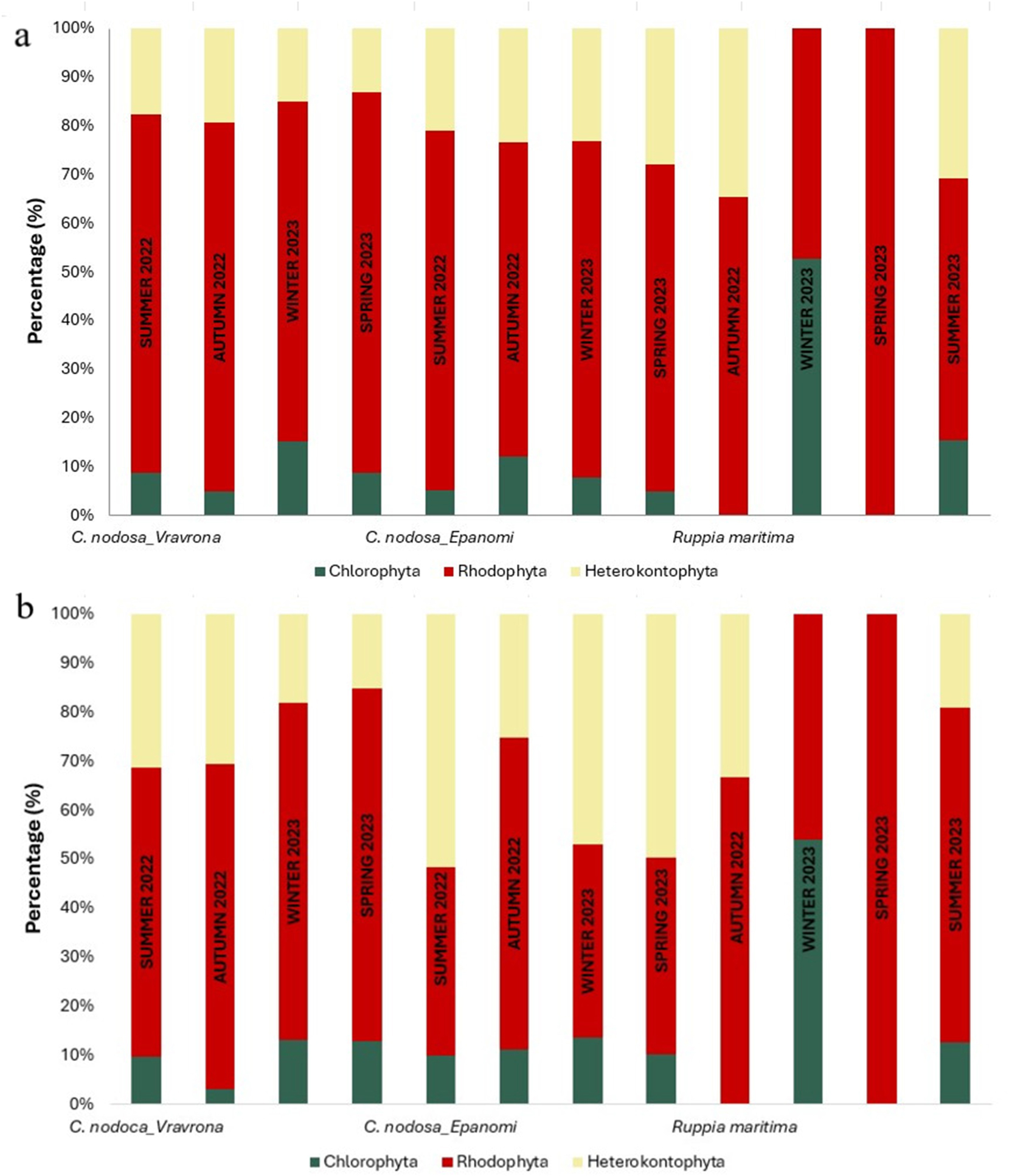Figure 7: 
Qualitative and quantitative analysis of the identified macroalgal groups. (a) Relative number of identified taxa in different macroalgal groups observed as epiphytes on leaves of Cymodocea nodosa and Ruppia maritima in the study areas, by season. Values represent the mean number of taxa of each macroalgal group found on the 10 adult leaves studied per seagrass, site and season. (b) Relative total coverage of identified taxa of different algal groups observed on leaves of C. nodosa and R. maritima in the study areas, by season. Values represent the mean total coverage of each macroalgal group found on the 10 adult leaves studied per seagrass, site and season. Cymodocea nodosa samples began to be collected in the summer of 2022, while R. maritima sampling began in the autumn of 2022.
