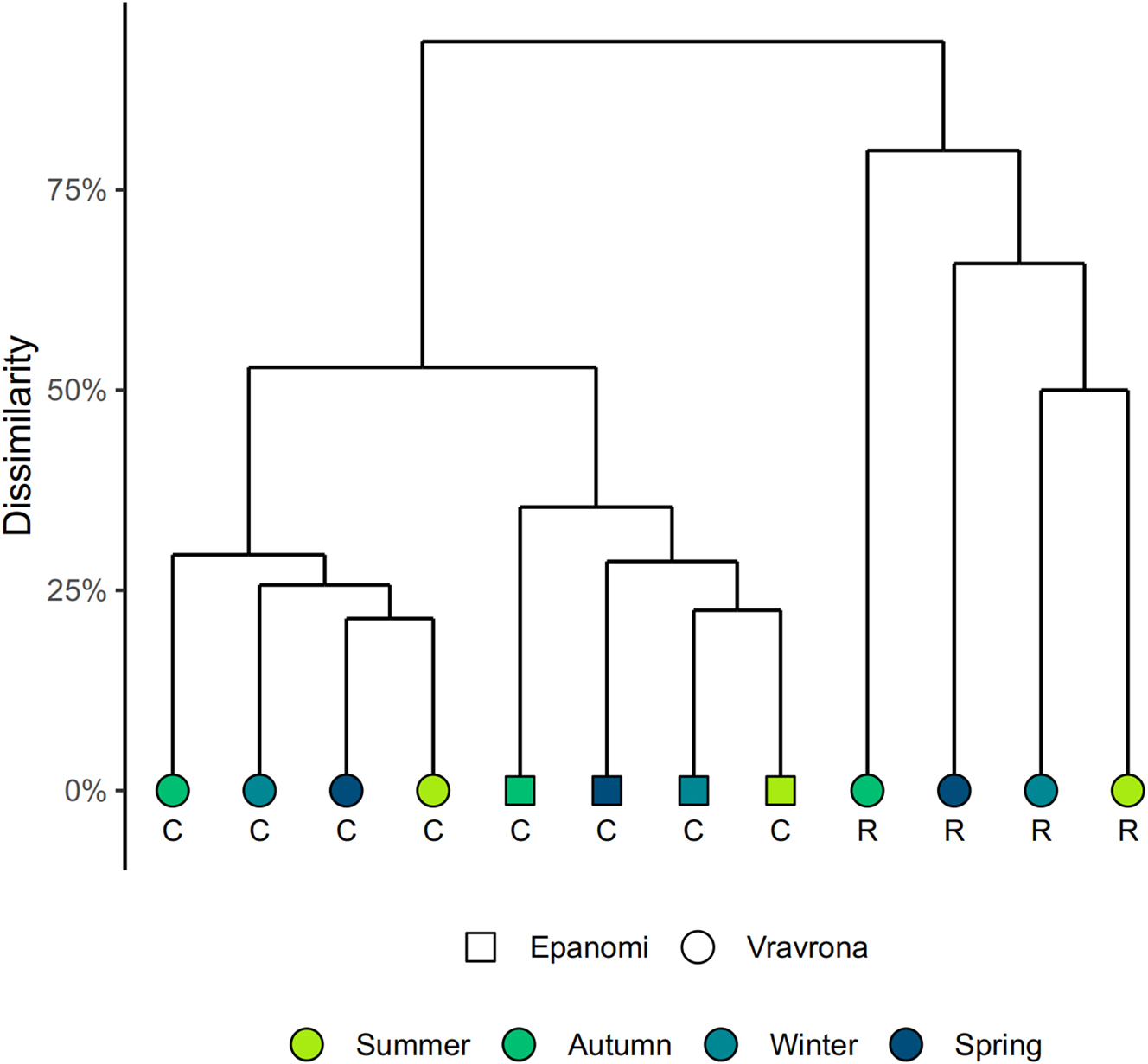 Figure 9: 
Hierarchical cluster based on Bray-Curtis dissimilarities between samples, by season. C = Cymodocea nodosa, R = Ruppia maritima.
