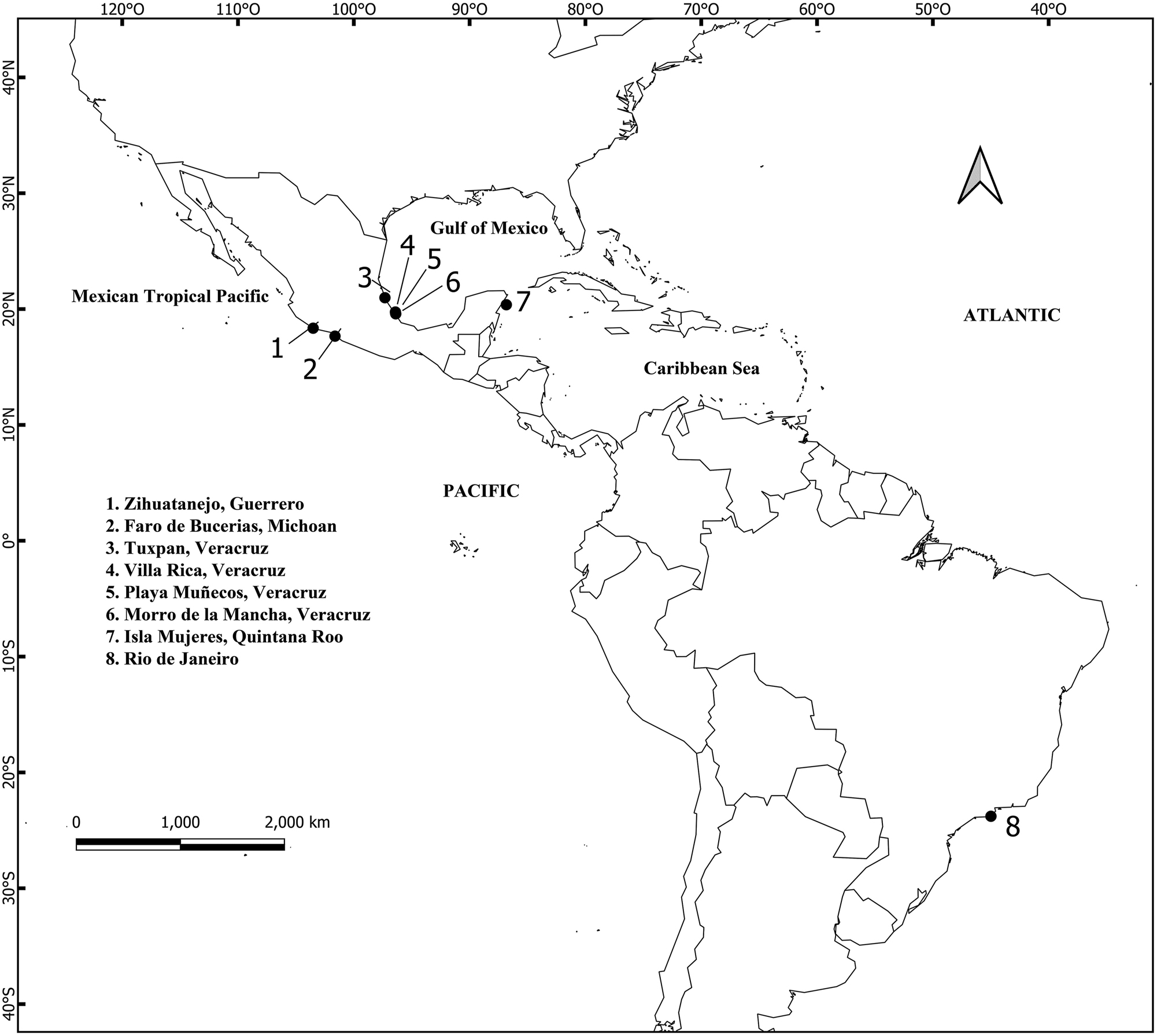 Figure 1: 
Map of the collection sites for Chnoospora in the Mexican coasts and Brazil. The numbers correspond to site names.
