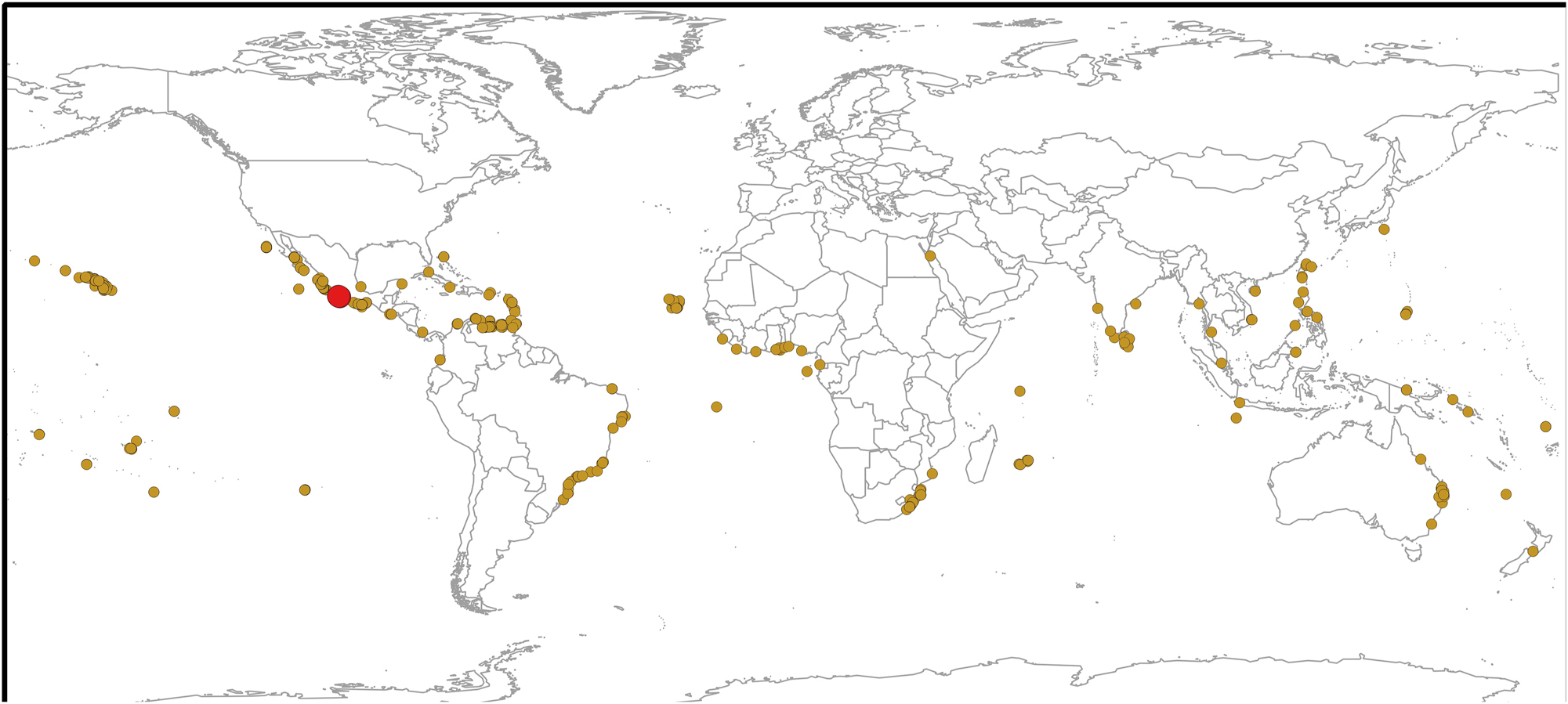 Figure 16: 
Map of the global distribution of Chnoospora minima (brown circles) and C. ramosissima (red circle).
