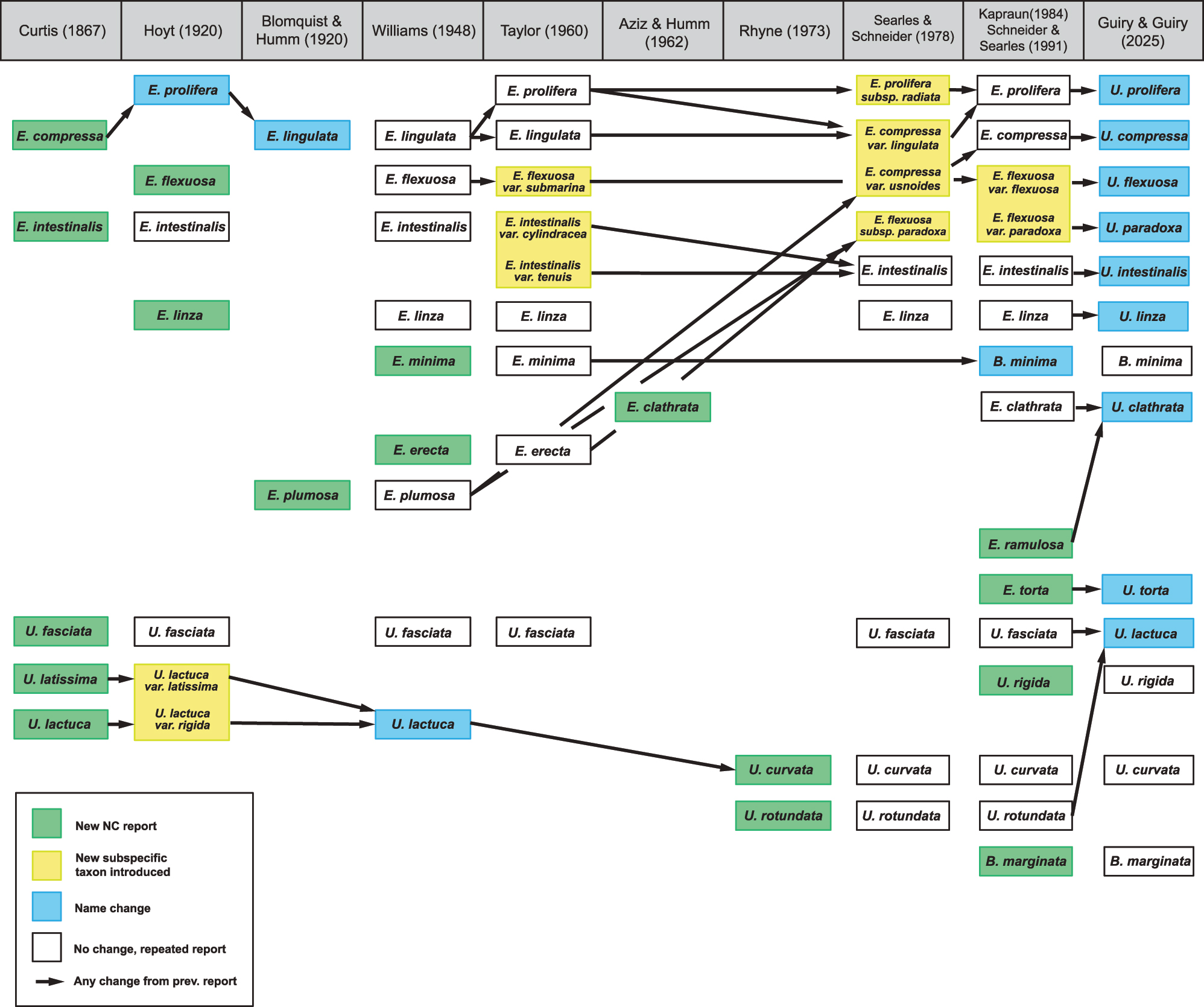 Figure 1: 
Taxonomic history of North Carolina Ulvaceae species.
