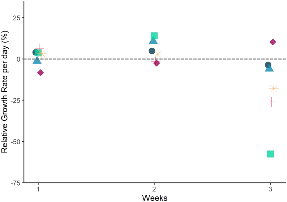 Figure 3: 
Relative growth rate (RGR) of Ulva compressa thalli over time in Experiment 1b. RGR based on weekly FW. Each replicate is represented by a different colour and symbol to highlight the variations in RGR observed between replicates. The grey dashed line highlights zero RGR. Note: the material was fertile during the whole experiment. There was no correlation between RGR over time (weeks).
