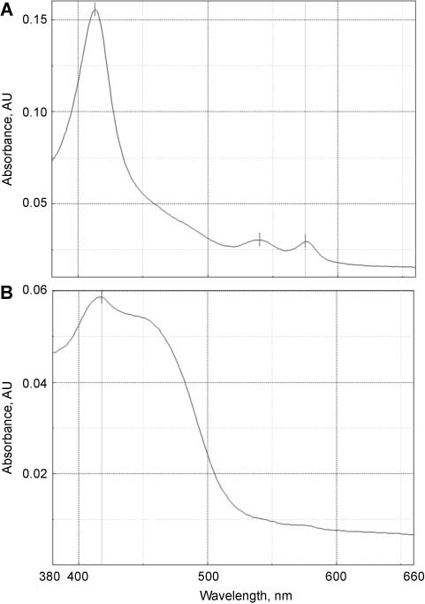 Figure 1 
							Spectrophotometry of oxyhaemoglobin (A) and bilirubin (B) slope.
						