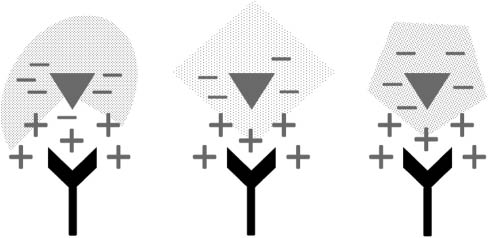 Figure 1 RAGE as a sensor of ligand-specific electrostatic fields. RAGE senses ligand-specific electrostatic fields. V domain (black V shapes) is a positively charged electrostatic trap for negatively charged ligands (gray triangles). RAGE recognizes the individual electrostatic field emitted by a particular ligand. These electrostatic fields are ligand specific.