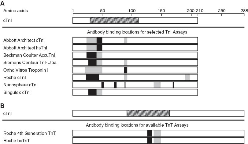 Figure 1 Location of epitopes of capture and detection antibodies for selected cardiac troponin immunoassays.(A) Cardiac troponin I (cTnI, amino acids 1-210) and (B) cardiac troponin T (cTnT, amino acids 1-288) molecules with stable central regions hatched. Binding sites of antibodies used in selected assays are shown (capture antibody epitopes in gray, detection antibody epitopes in in black).