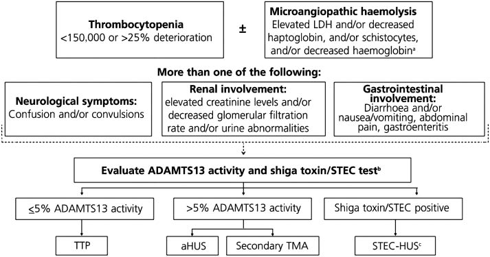 Figure 3: An algorithm for the differential diagnosis of TMA.ADAMTS13, a disintegrin and metalloproteinase with a thrombospondin type 1 motif, member 13; aHUS, atypical haemolytic uraemic syndrome; HUS, haemolytic uraemic syndrome; LDH, lactate dehydrogenase; STEC, Shiga toxin producing Escherichia coli; TMA, thrombotic microangiopathy; TTP, thrombotic thrombocytopenic purpura. aNegative direct Coombs test; bThe Shiga toxin test/STEC is indicated when the patient has a history of digestive system involvement or gastrointestinal symptoms; cIn some patients with aHUS, STEC infection can trigger the underlying disease. From Campistol J, et al. [13]. Reprinted with permission from the Nefrologia Publishing Group.
