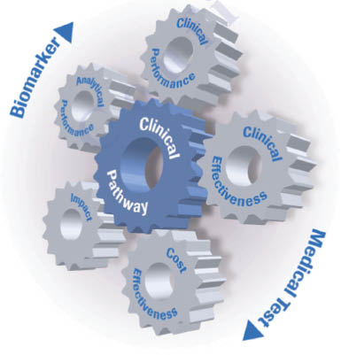 Figure 1: Framework for the evaluation of in vitro medical tests. This framework illustrates the interplay between the key components of the test evaluation process and that all elements are linked to one another in a dynamic cycle driven by the intended use of a test in a clinical pathway.This cycle recognizes that the key test evaluation elements may influence or modify existing clinical pathways and that analytical performance may impact clinical performance and vice versa. This cyclical framework also illustrates how clinical performance and clinical effectiveness of a test may call for improved analytical performance and that advanced analytical performance of tests may contribute to improved clinical and cost-effectiveness of the test-treatment pathway [3].