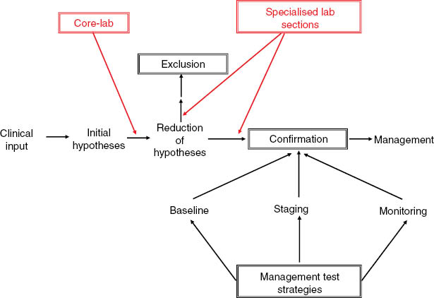 Figure 1: The contribution of a decision making-based laboratory department, organised in a core-lab section and satellite specialised laboratory areas, to the sequence of diagnostic reasoning.Modified from Benson ES, Rubin M. The sequence of diagnostic reasoning, 1978.