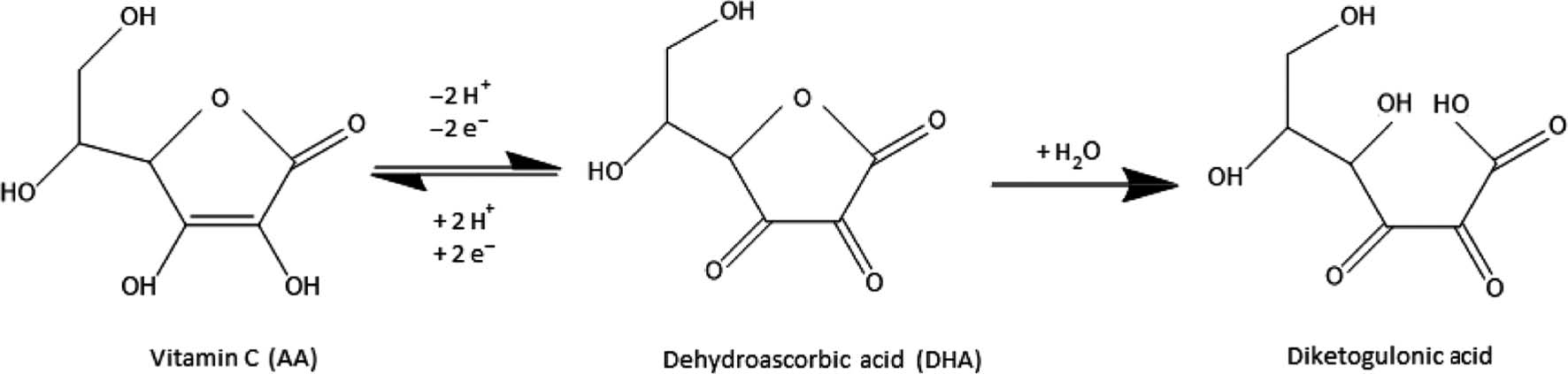 Figure 2: Metabolism of vitamin C.
The reversible reaction between ascorbic acid and ascorbate has been omitted for diagram simplicity. Image created using ChemDraw (PerkinElmer Informatics, Massachusetts, USA).