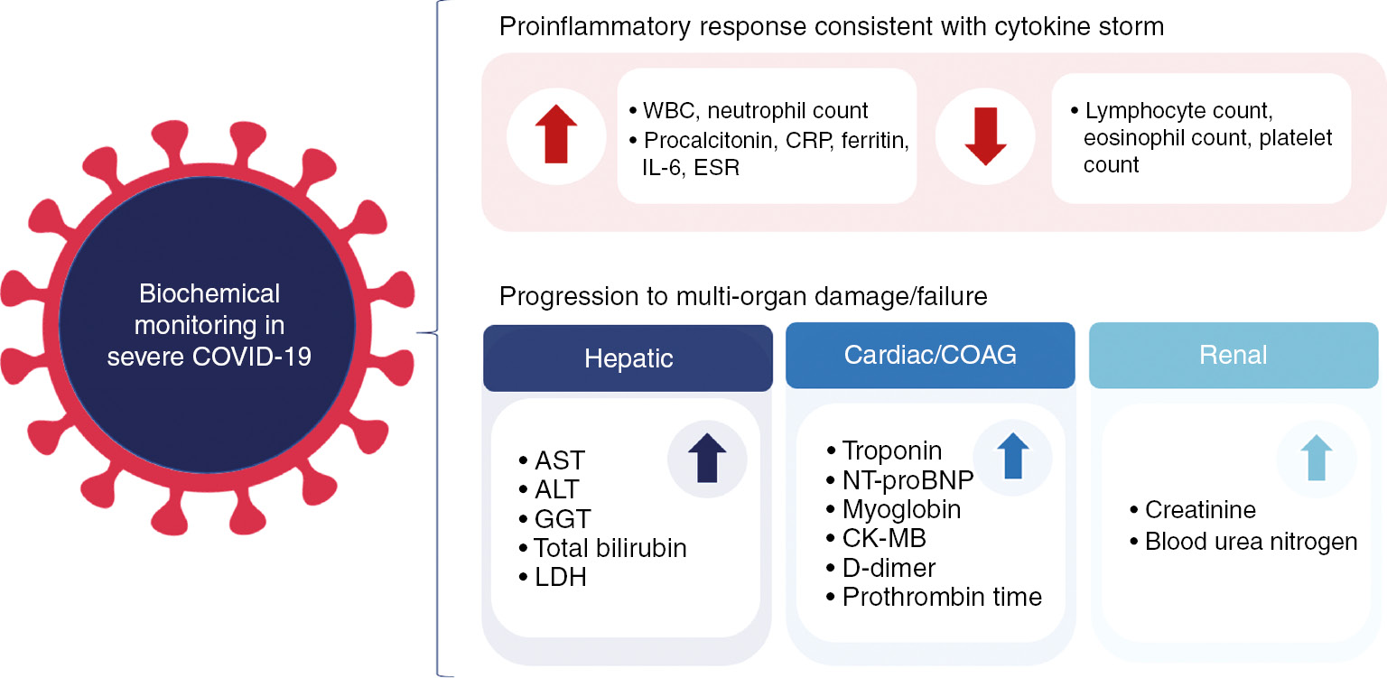 Figure 2: Biochemical and hematological biomarkers of COVID-19 progression and severity.