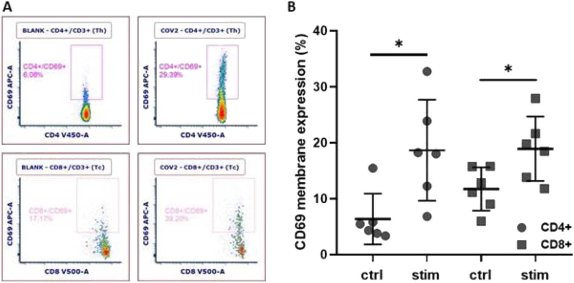 Figure 1: 

Flowcytometric assessment of SARS-CoV-2 specific T cell activation in whole blood from donors vaccinated against SARS-CoV-2. A) Representative dot plots showing CD69 membrane expression within CD4+ T cells (upper plots) within SARS-CoV-2 antigen stimulated cells (right) compared to the unstimulated control (left). The lower plots show CD69 membrane expression within CD8+ T cells within SARS-CoV-2 antigen stimulated cells (right) compared to the unstimulated control (left). B) Percentage of CD69 membrane expression in CD4+ and CD8+ T cells upon stimulation with SARS-CoV-2 antigens (stim) versus unstimulated controls (ctrl), * p < 0.05, n=6.
