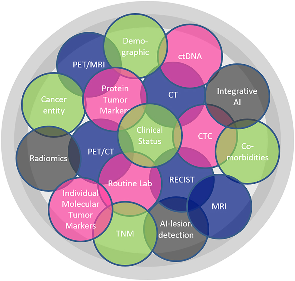 Figure 3:
Multidimensional clinical, laboratory and imaging data points required for an integrative diagnostic dashboard.