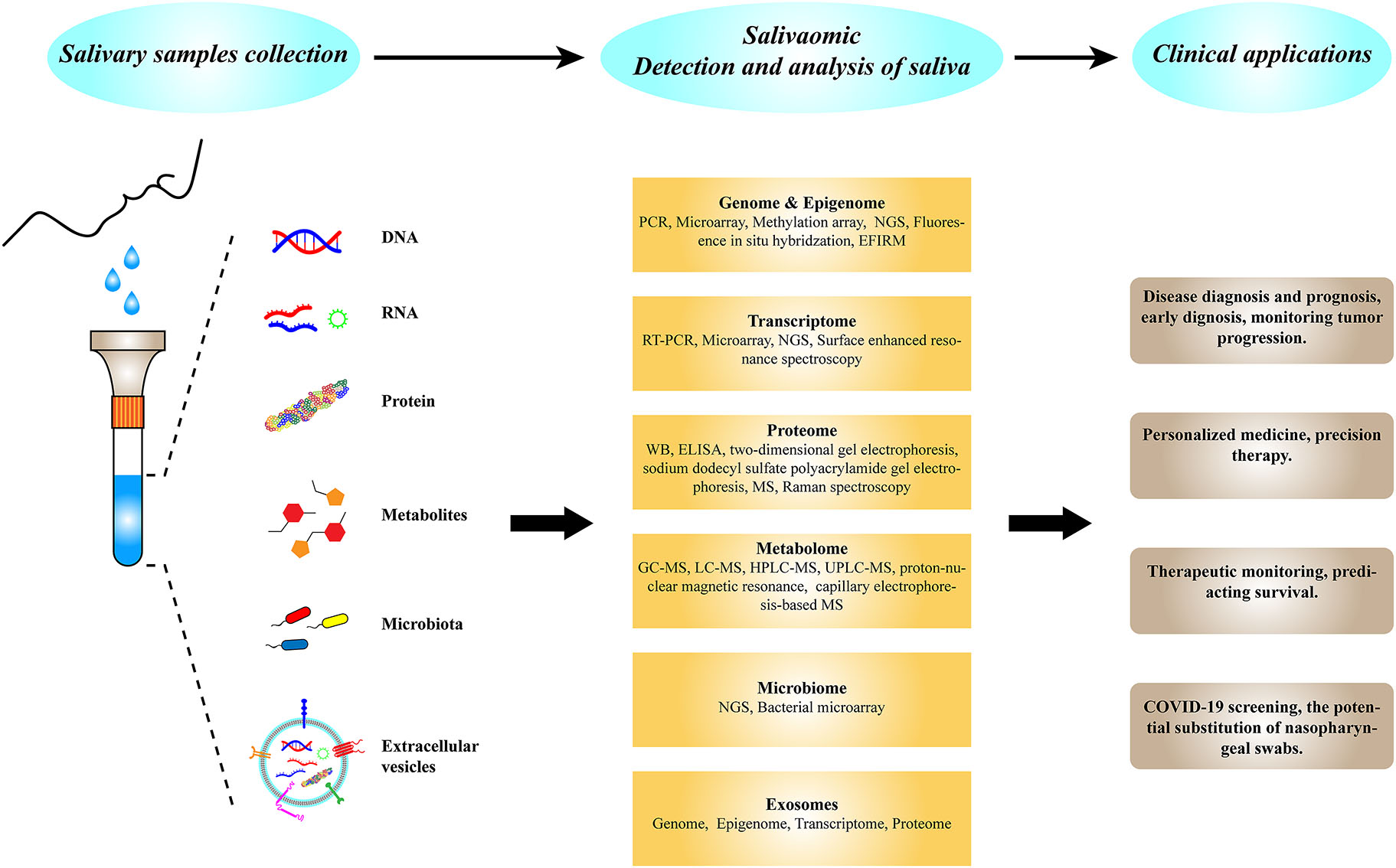 Figure 2:
Process and application of salivary diagnosis.