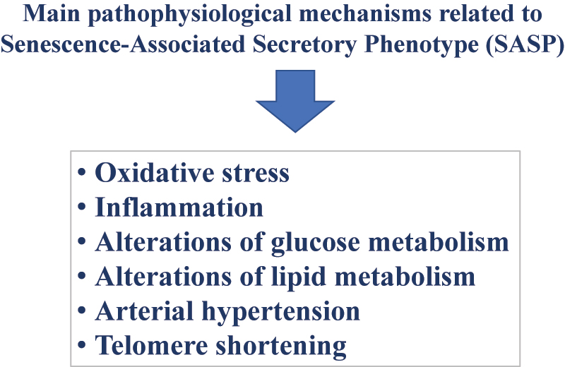 Figure 3:
Main mechanisms related of the secretory phenotype associated with senescence (SASP).