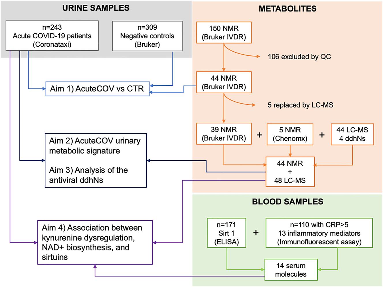 Figure 1: 
Consort diagram. Urine metabolomics was performed by 1H NMR spectroscopy and LC–MS in a large cohort of SARS-CoV-2 infected individuals (n=243). The study is structured in 4 different consecutive aims. In addition to urinary metabolite profiles, Aim 4 involved the investigation of SIRT1 concentration in matched serum samples. Thirteen inflammatory mediators, whose concentration was measured within our previous study [11], were likewise included in the present analysis. AcuteCOV, Acute COVID-19 cohort; CRP, C-reactive protein; CTR, controls; ddhNs, deoxy-didehydronucleosides; LC–MS, liquid chromatography–mass spectrometry; NAD+, nicotinamide adenine dinucleotide; NMR, nuclear magnetic resonance; QC, quality control; SIRT1, sirtuin 1.
