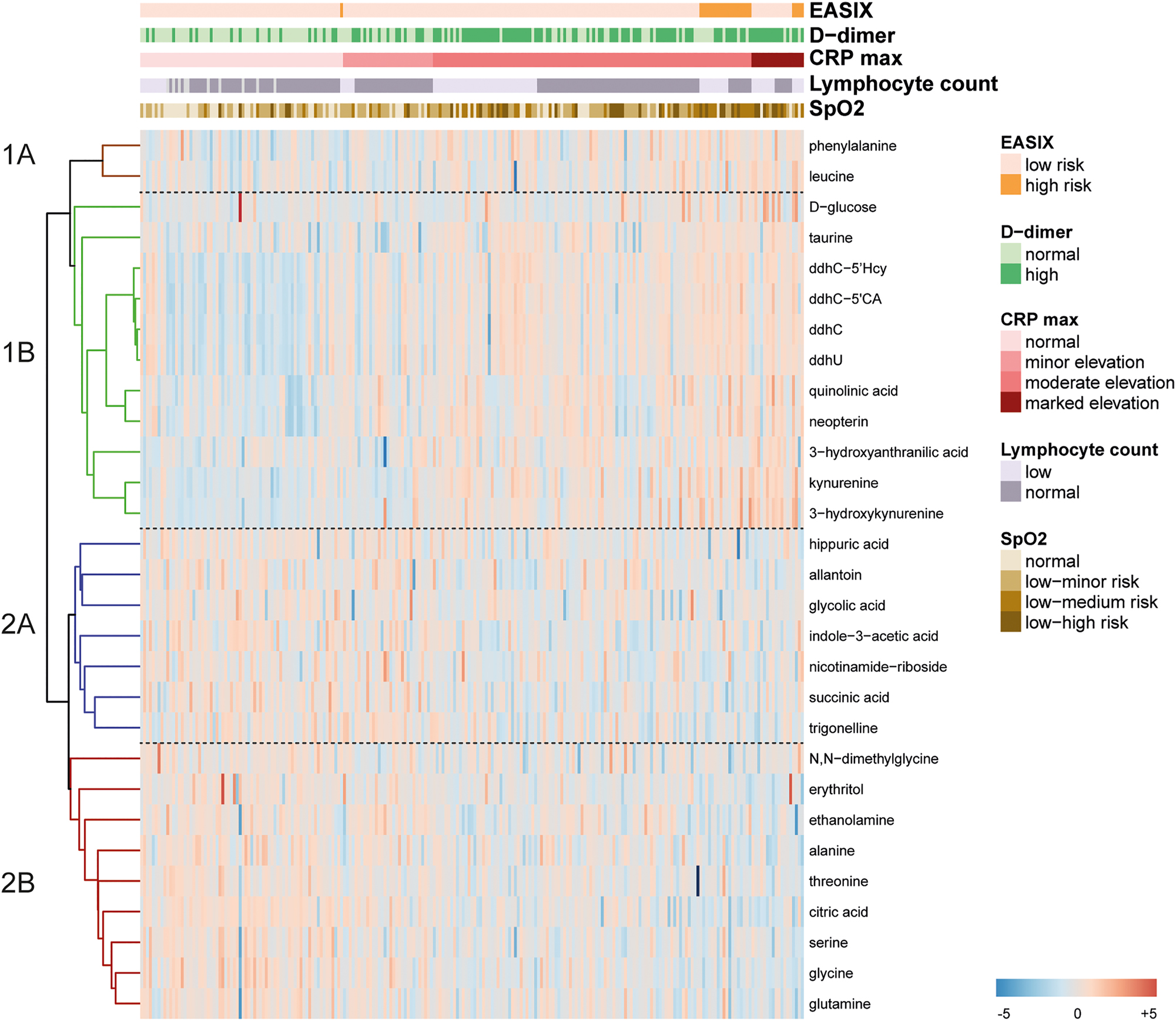 Figure 4: 
Recognition of urinary metabolic signatures associated with clinical deterioration. Heatmap showing the concentration of those metabolites which resulted significantly different across the following classes of clinical variables: EASIX; low risk, vs. high risk; D-dimer: normal vs. high; CRP: normal vs. minor elevation, vs. moderate elevation vs. marked elevation; lymphocyte count: normal vs. low; SpO2: normal vs. low-minor risk vs. low-medium risk vs. low-high risk. Clustering method: average linkage; distance metric: 1–Spearman’s rank correlation. Four main metabolite signatures are identified: (1A) (orange dendrogram), (1B) (green), (2A) (violet), (2B) (brown). A two-color scale is used to illustrate the metabolite modulation pattern: deep red denotes +5, deep blue denotes −5. Specific color-coded scales denote the different clinical parameters and their classes. CRP, C-reactive protein; EASIX, endothelial activation and stress index; SpO2, oxygen saturation.
