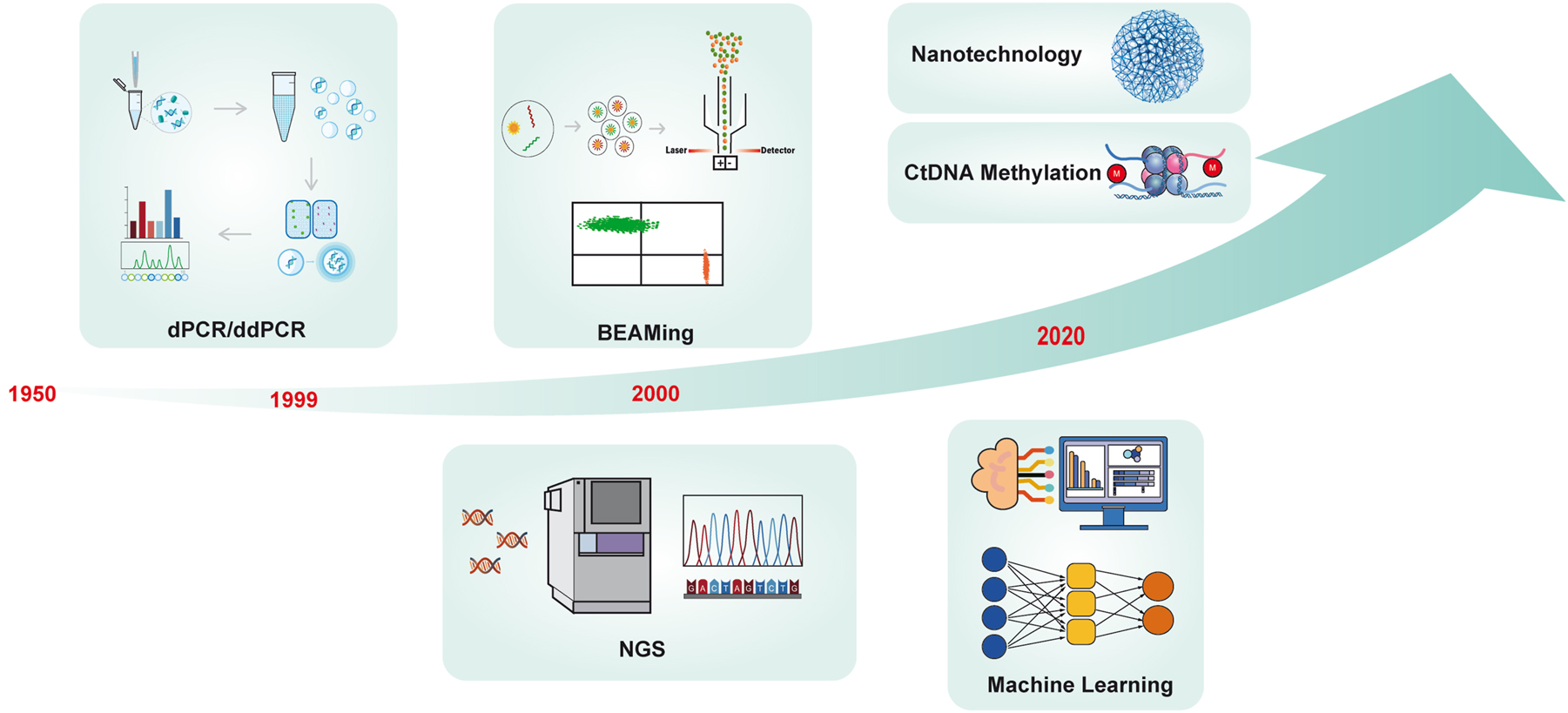 Figure 2:
Timeline of the development of ctDNA technology. In 1948, Mandel and Metais discovered cell-free nucleic acid molecules (cfDNA) in plasma, and it was not until 1989 that Stroun reported that some cfDNA from tumor patients originated from tumor cells. KRAS mutations were first detected in blood cfDNA of pancreatic cancer patients using PCR in 1994. Afterward, dPCR technology appeared in 1999, and BEAMing appeared in 2006, which greatly improved the accuracy of ctDNA detection and pushed the research in related fields to the peak. Currently, with the emergence of new technologies, such as the popularity of NGS, DNA methylation detection, nanomaterials, artificial intelligence, and deep machine learning, ctDNA has many potential clinical applications waiting to be developed by researchers.