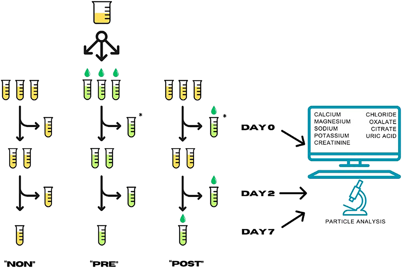 Figure 1: 
The system of aliquoting. The aliquots marked with an asterisk “*” were treated identically (PRE Day 0; and POST Day 0), resulting in a total of eight aliquots for biochemistry and another eight for particle analyses. Due to mandatory acidification for capillary zone electrophoresis, five aliquots were prepared for citrate and oxalate analyses only. A total of 21 aliquots were prepared from urine specimens of each patient. NON, no acidification; PRE, acidified before storage; POST, acidified after storage before analysis.
