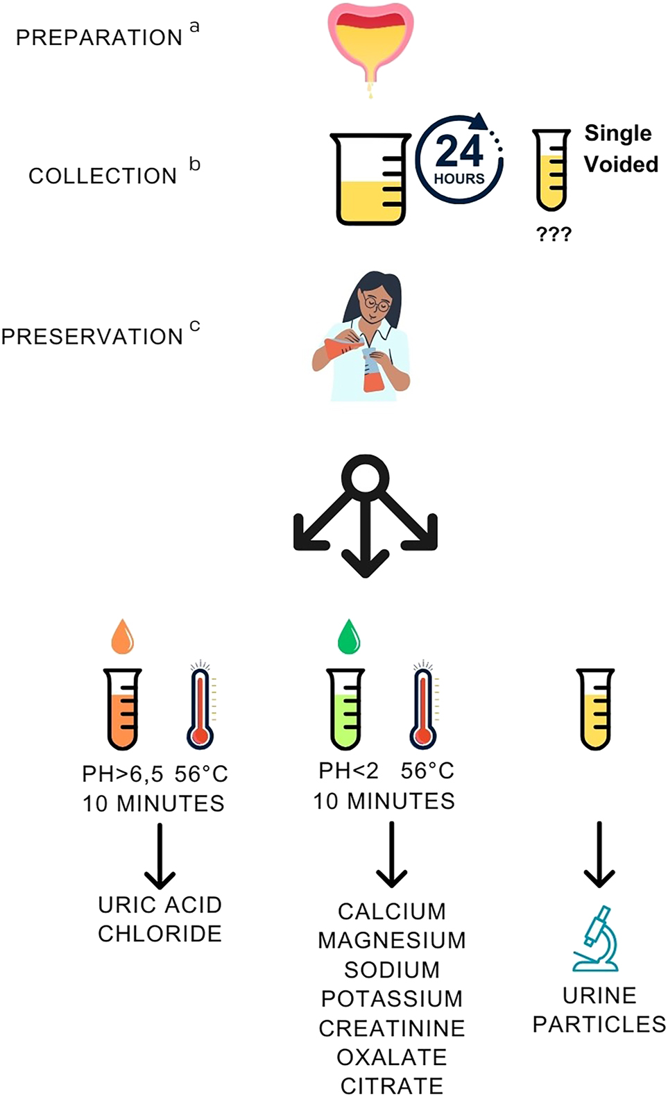 Figure 5: 
Recommendations for patient preparation, collection, and preservation of urine specimens for measuring metabolites associated with urinary stones. aPreparation: collection with increased diuresis up to 2.5 L/day; no vitamin C intake. Preparation applies to follow-up measurements only; regular diuresis and diet are recommended for primary diagnostics to document the stone-forming tendency. bCollection: 24 h collection (reference); single-voided urine (follow-up, selected cases). cPreservation: after measuring pH, divide the sample into 1–3 aliquots for different metabolites and preservatives, guided by the type of urinary stone. Measurement at pH >6.5 is needed for uric acid (precipitates in acidic pH) and chloride (HCl used for acidification interferes with original concentration).
