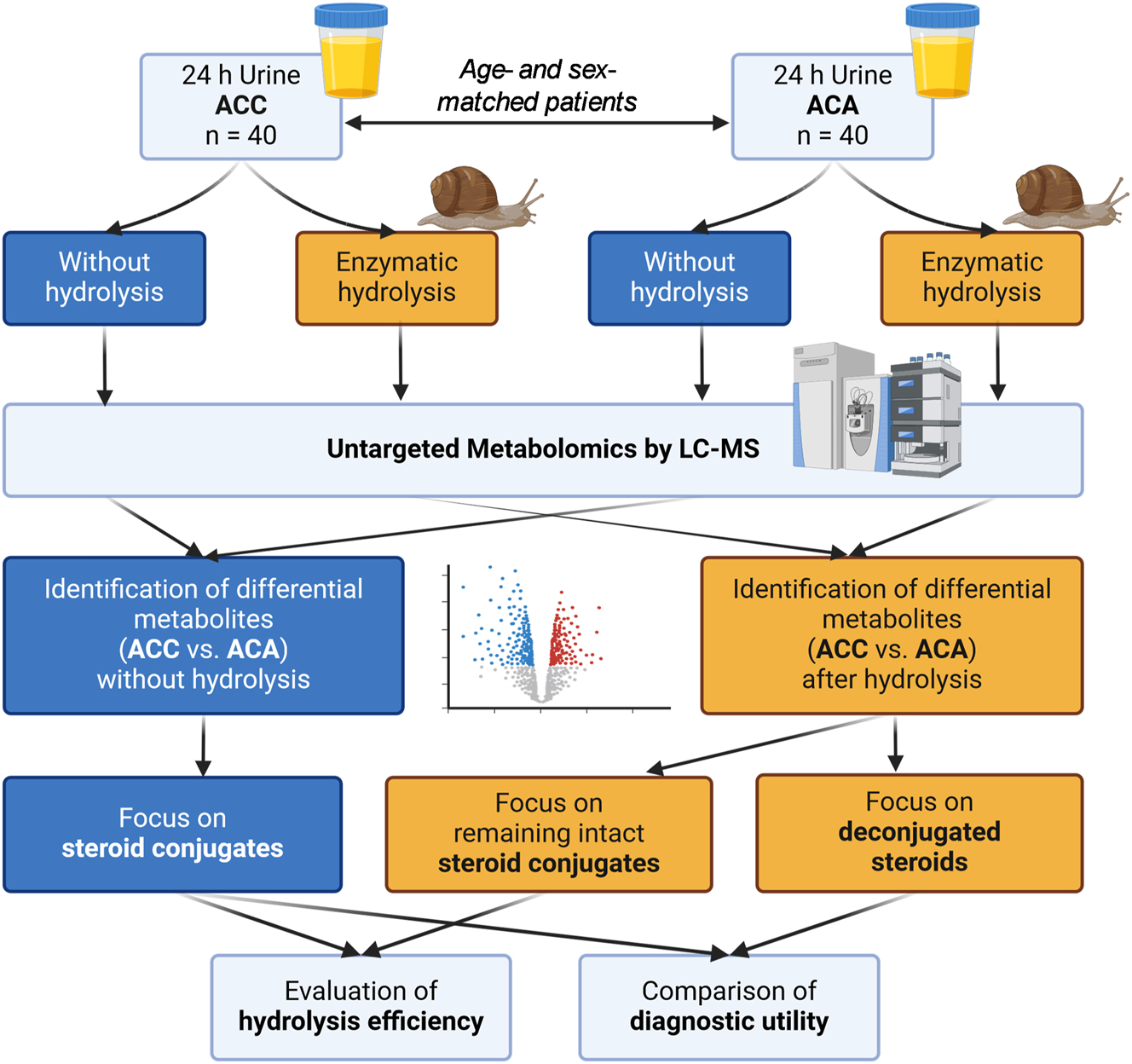 Teaser image from the article