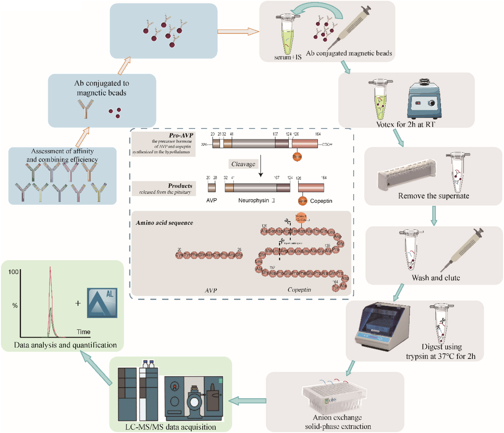 Teaser image from the article