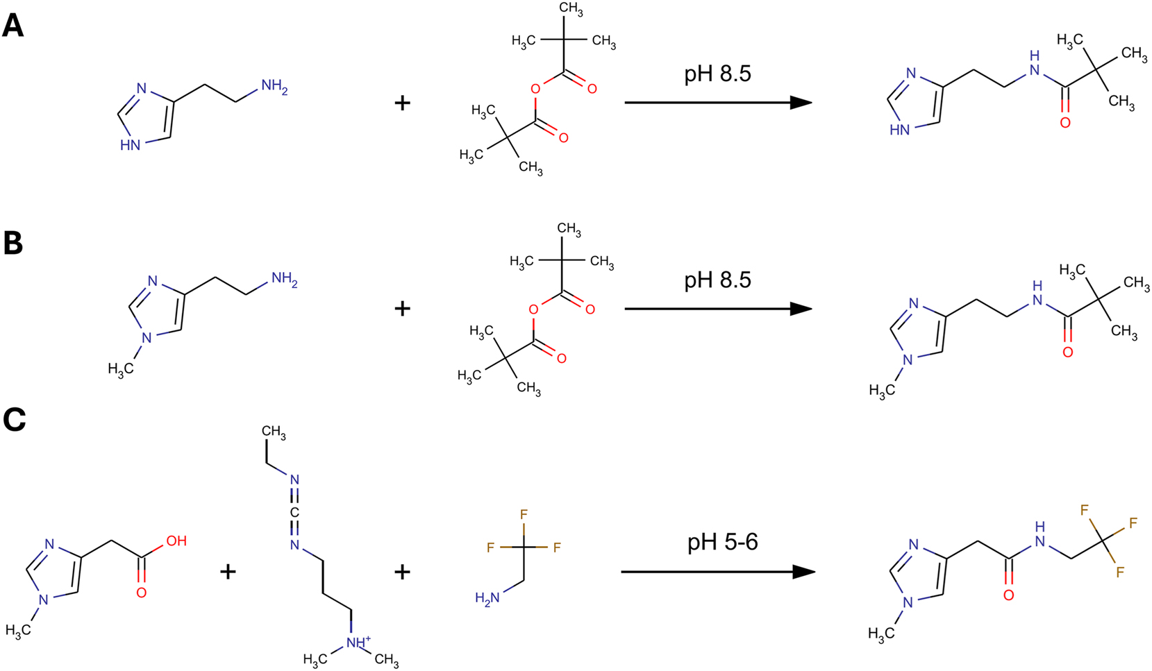 Figure 1: 
Schematic double derivatization procedure. First, histamine (A) and NMH (B) are derivatized with TMAA at pH 8.5. During the reaction with TMAA, the pH drops to 5–6 (formation of trimethyl acetic acid). MIMA (C) is then derivatized by the addition of TFEA and EDC. NMH, N-methylhistamine; TMAA, trimethylacetic anhydride; MIMA, 1-methyl-4-imidazoleacetic acid; EDC, 1-ethyl-3-(3-dimethylaminopropyl)carbodiimide; TFEA, 2,2,2-trifluoroethylamine.
