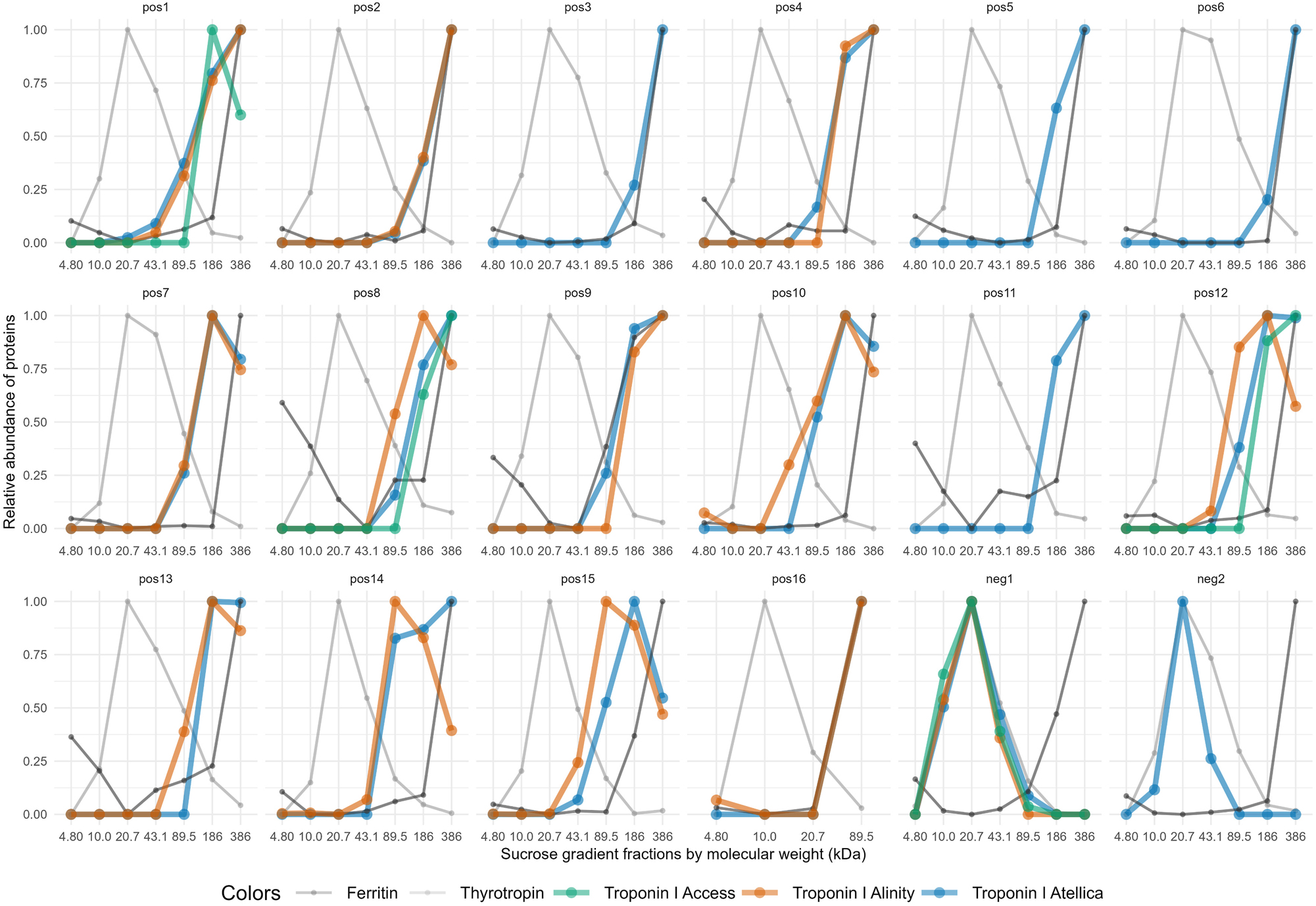 Figure 1: 
Macrotroponin results by sucrose gradient ultracentrifugation. Athletes with discordant hs-cTn results (n=18) were assessed for the presence of macrotroponin using molecular weight-based fractions of the sucrose gradient ultracentrifugation method. Macrotroponin was assigned to high molecular weight fractions (89.5–386 kDa), which were indicated by the high molecular weight marker ferritin (480 kDa). In contrast, free hs-cTn was associated with lower molecular weight fractions (10.0–43.1 kDa), where thyrotropin (28 kDa) was detected. In general, those hs-cTnI assays that showed increased concentrations in the original sample were applied for this assessment. Among athletes suspected of having macrotroponin, 16 were positive (pos1 – pos16) and two negative for macrotroponion (neg1 – neg2).
