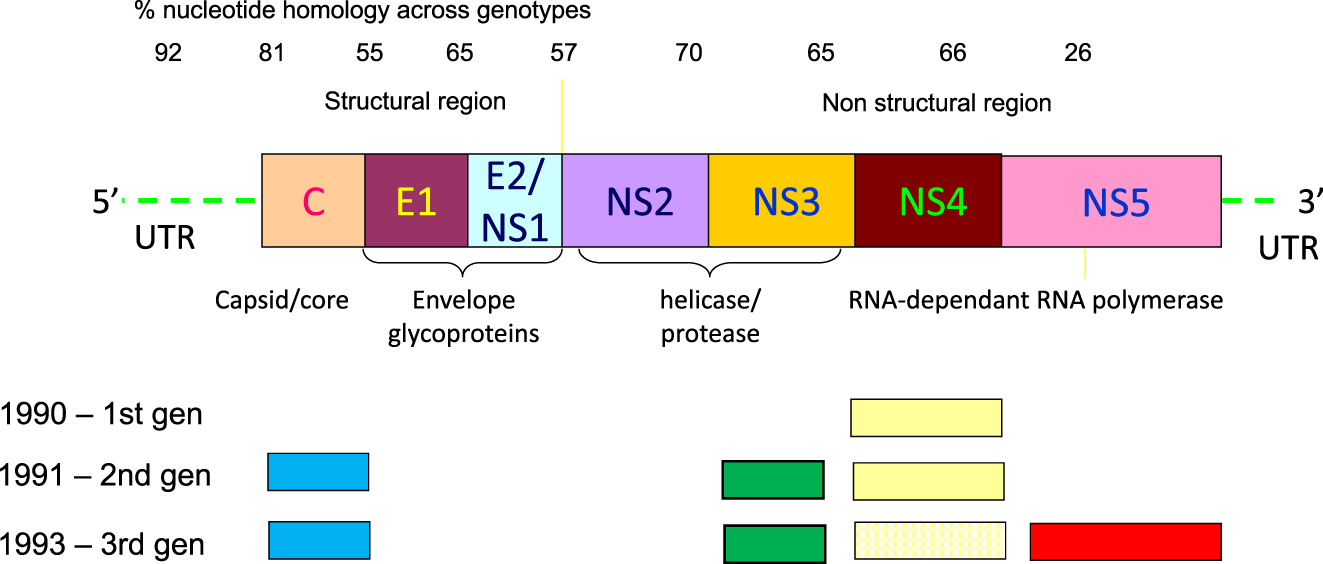 Figure 4: 
Schematic representation of the HCV genome and of the antigens included in the different generations of anti-HCV screening assays. The NS4 antigen(s) representation in third generation is dotted because not all assays included those epitopes. The dimension of the different HCV genome regions and derived antigens are exemplary and do not represent the real extension of those RNA or proteic compounds.
