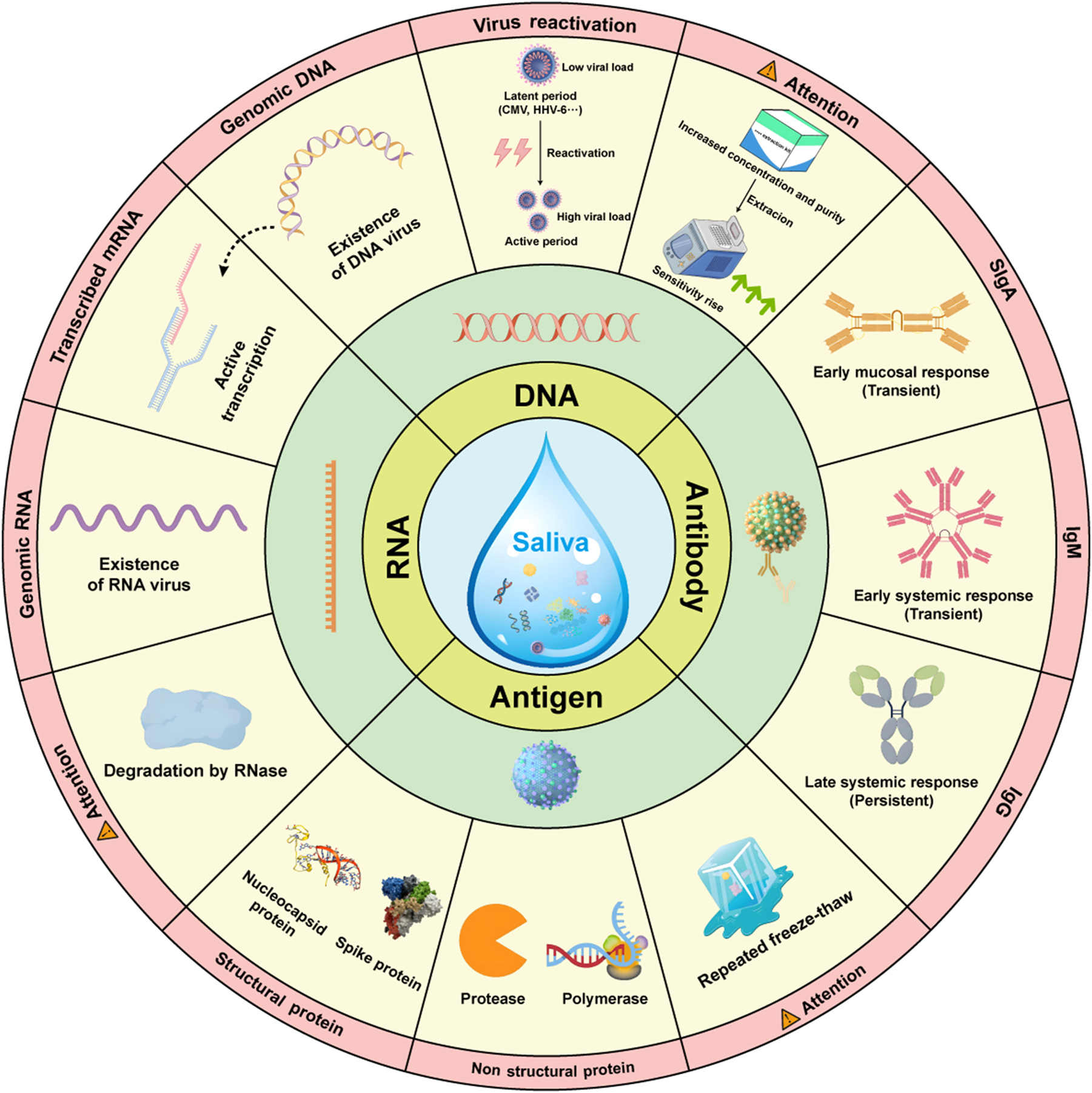 Teaser image from the article