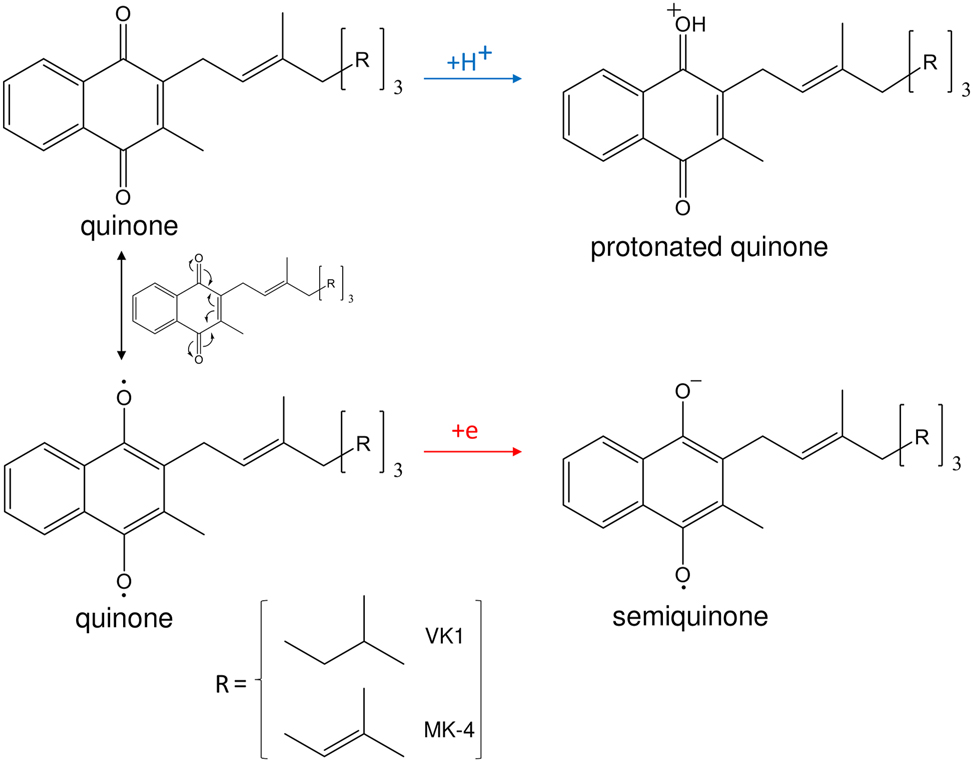 Vorschaubild aus dem Artikel