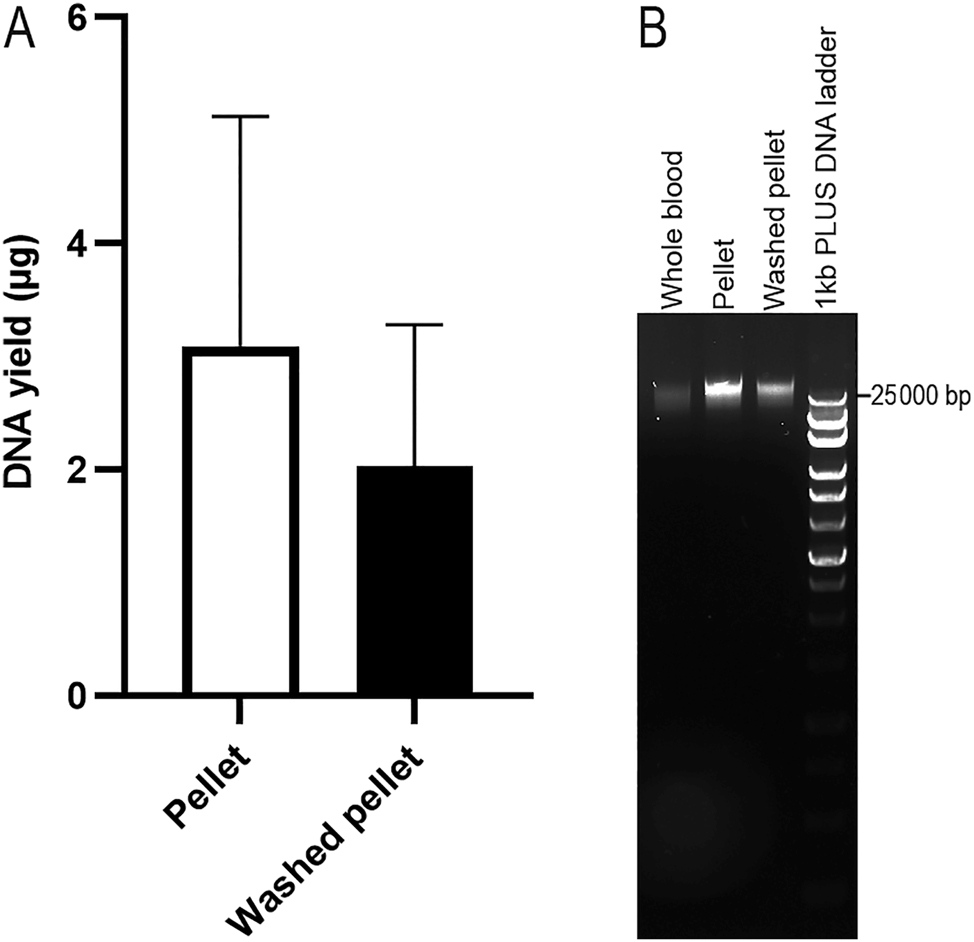 Figure 1:
The effect of the reagents in PAXgene blood RNA tube on DNA yield. The gDNA was extracted using the QIAsymphony SP automated platform (n=3, paired samples). DNA yield was assessed using a NanoDrop spectrophotometer (A). Agarose gel electrophoresis of these DNA is shown in (B).