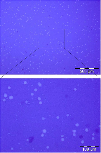 Figure 4 Trypan Blue dye exclusion test of hDFSC suspension post printing. Viable cells are bright colored and dead cells are in dark blue color.