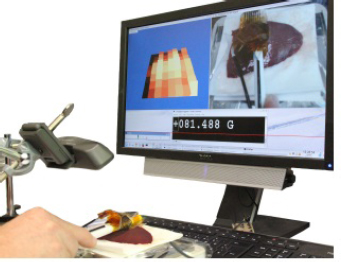 Figure 4 For the series of manual palpation tests the subjects were asked to detect the hidden tumors inside the liver samples by using the developed tactile tool. Therefore, the sensor data was displayed on a screen in real time besides the video image of the palpation field and the scale data.
